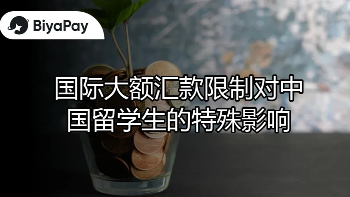 文章