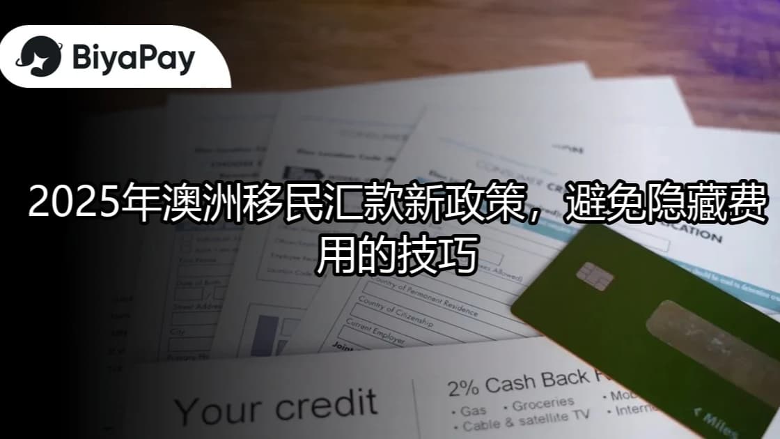 文章