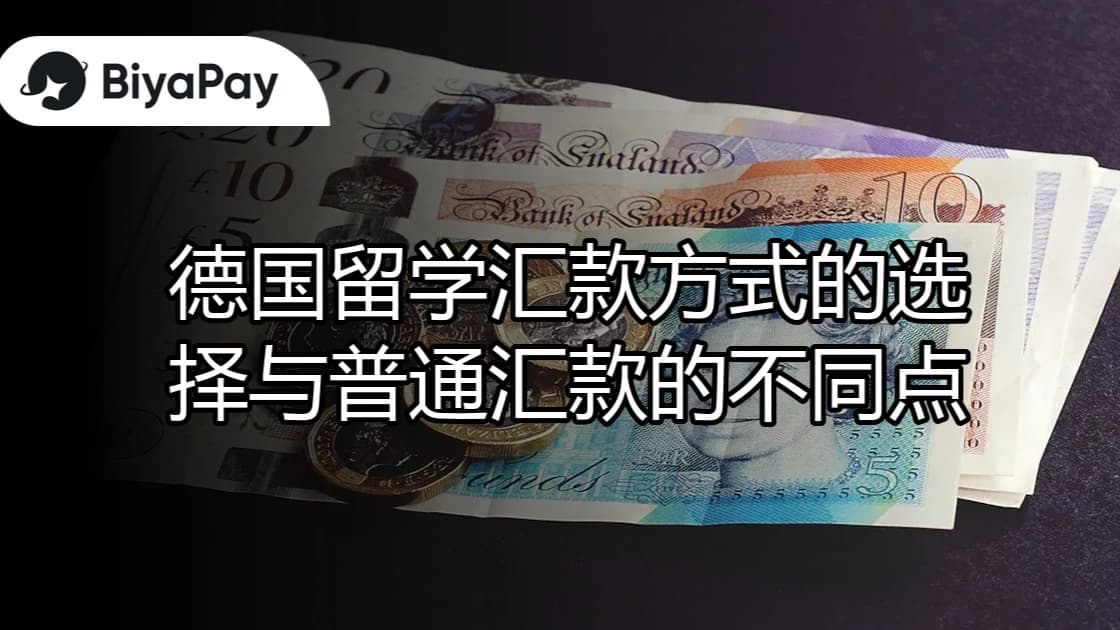 文章