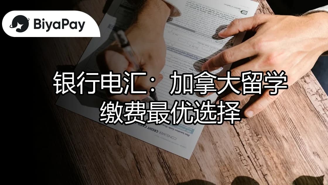 文章