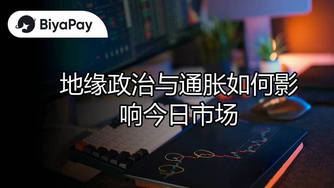 文章