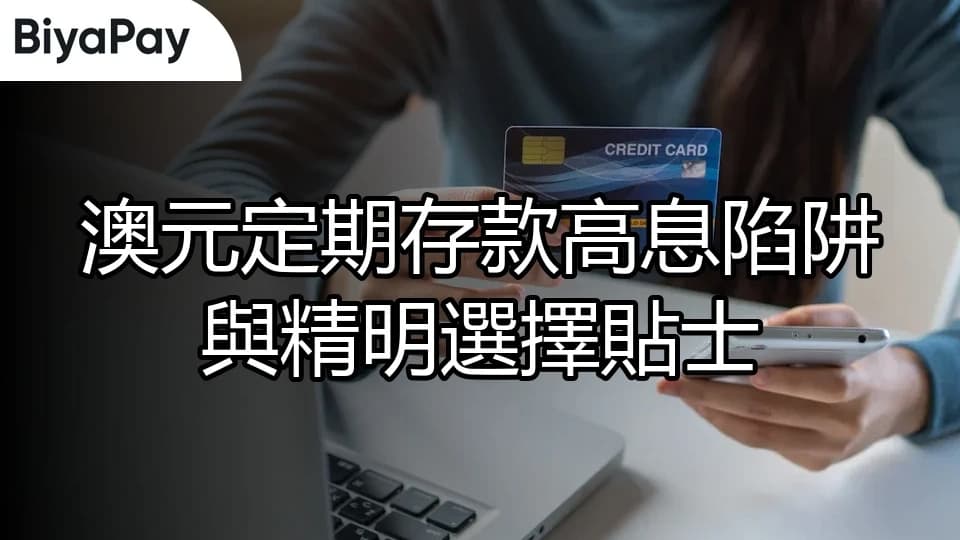 文章