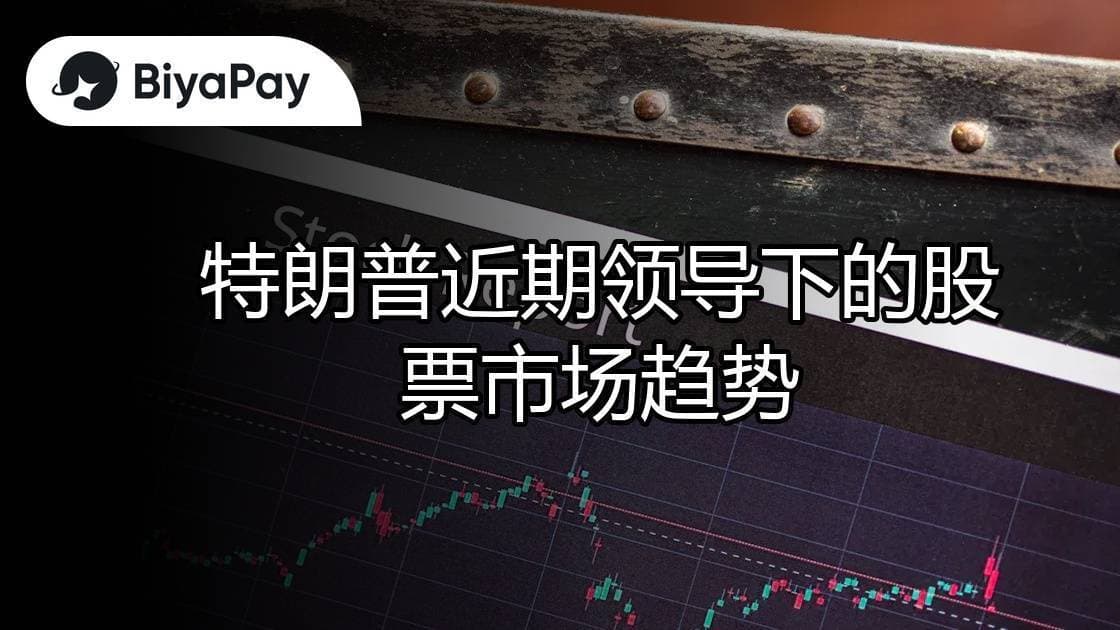 文章
