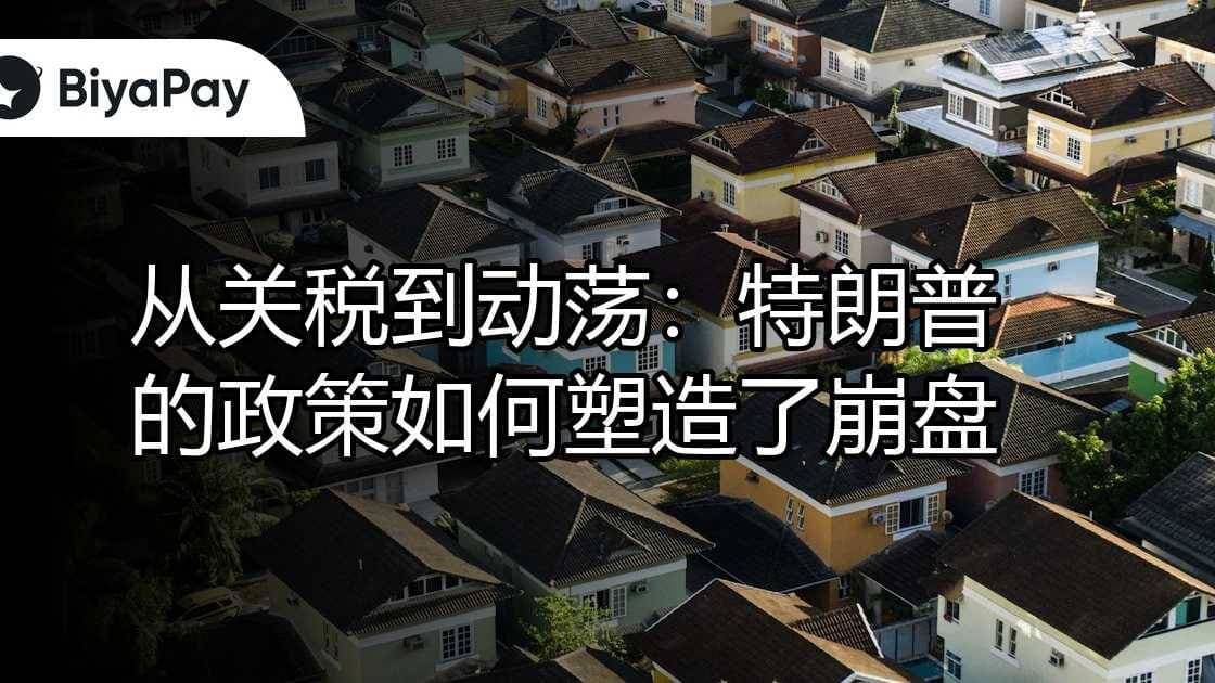 文章