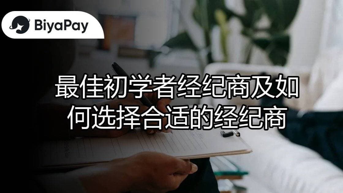 文章