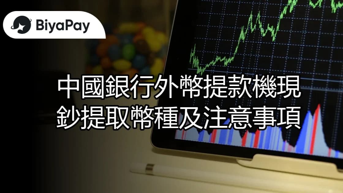 文章